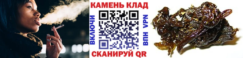 купить   Югорск  ОМГ ОМГ ТОР  Гашиш гашик 
