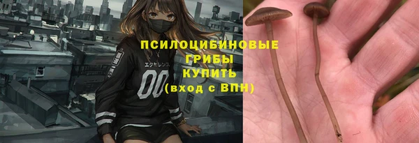 прущая мука Арсеньев