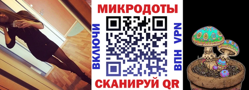 что такое   Югорск  Псилоцибиновые грибы Psilocybine cubensis 